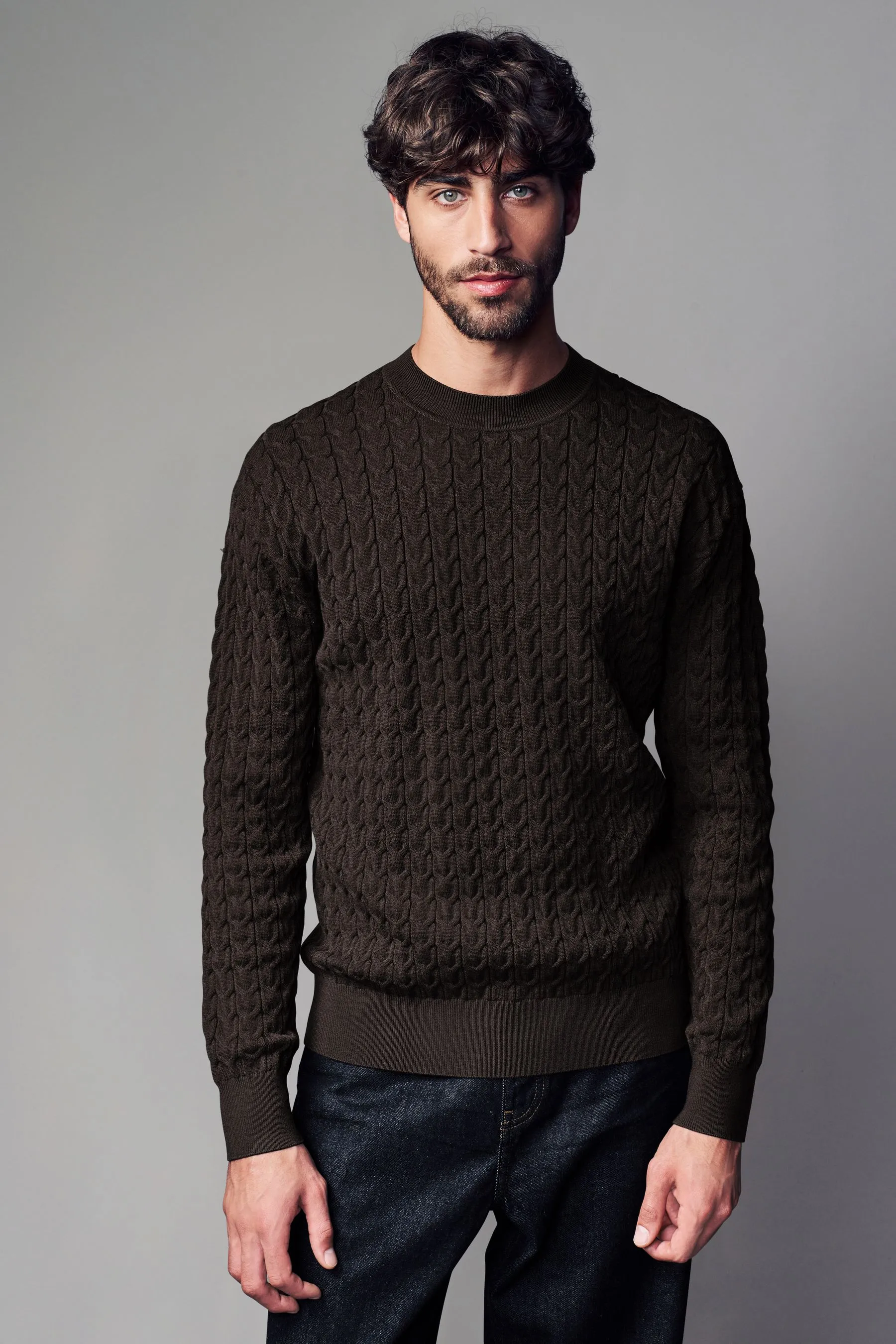 Soft Touch Vestibilità regolare Premium Knitted Girocollo Maglione    